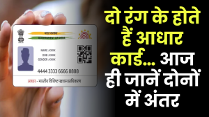 Aadhaar Card: दो रंग के होते हैं आधार कार्ड… जानें दोनों में अंतर