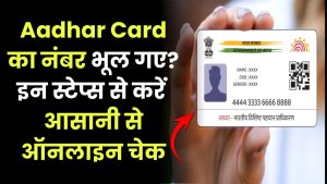 भूल गए Aadhar Card का नंबर? इन स्टेप्स को फॉलो कर आसानी से कर सकते हैं ऑनलाइन चेक