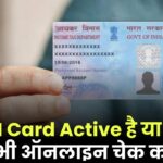 PAN Card Active है या बंद? अभी ऑनलाइन चेक करें – वरना हो सकती है दिक्कत!