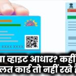 ब्लू या व्हाइट आधार? कहीं आप गलत कार्ड तो नहीं रख रहे! जानिए अब तक का सबसे बड़ा कन्फ्यूजन