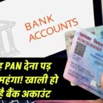 हर जगह PAN कार्ड की कॉपी देना पड़ सकता है महंगा! एक गलती और उड़ जाएंगे बैंक से पैसे