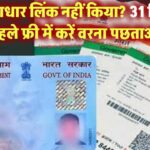 पैन-आधार लिंक नहीं किया तो पछताओगे! फ्री में लिंक करने का आखिरी मौका सिर्फ 31 दिसंबर तक!