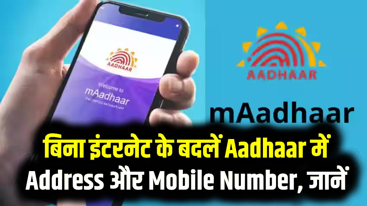 mAadhaar App से नहीं हो रहा अपडेट? बिना इंटरनेट के बदलें Aadhaar में Address और Mobile Number, जानें आसान तरीका