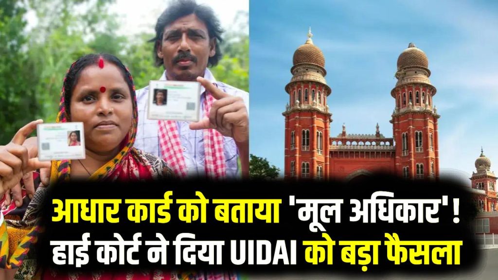 High Court Verdict: आधार कार्ड को बताया 'मूल अधिकार'! हाई कोर्ट ने दिया UIDAI को बड़ा फैसला और कड़ी नसीहत
