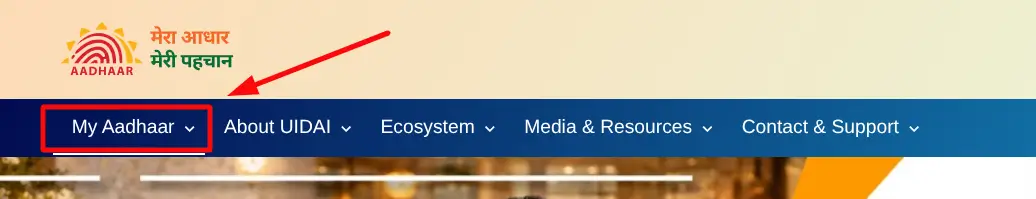 Choosing My Adhaar Option