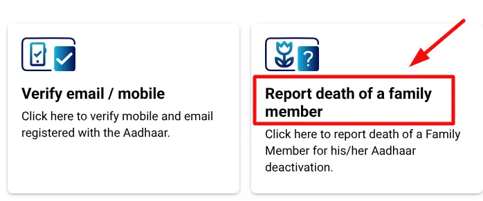 Choosing Report Death Option